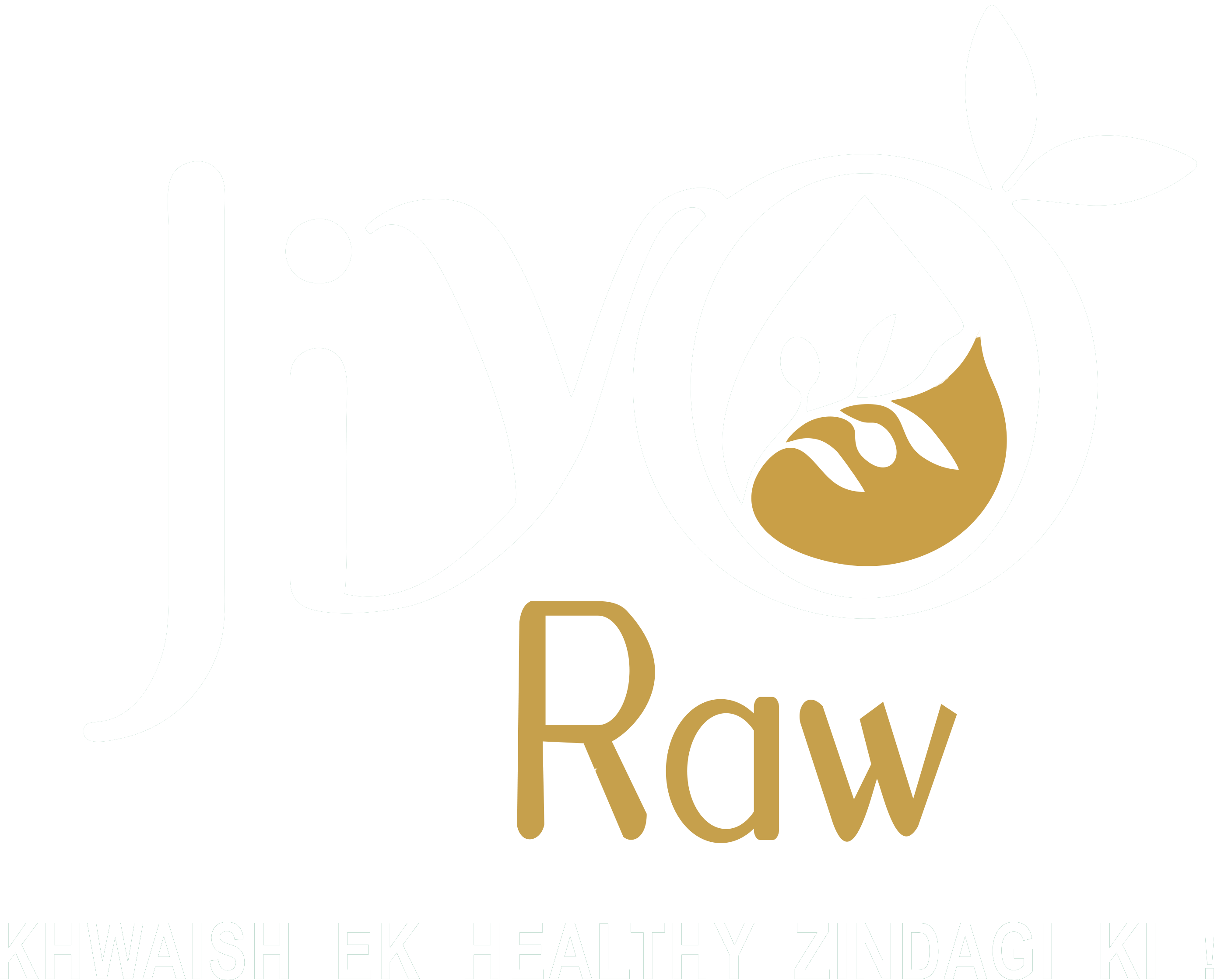 Footer Logo